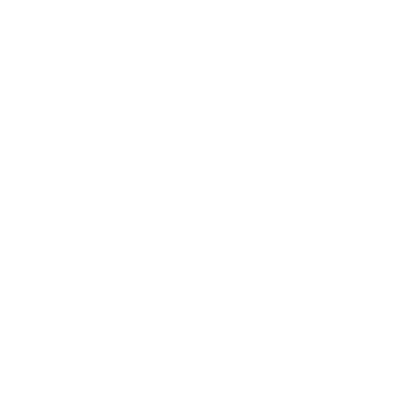 Ausschließlich Tagestouren